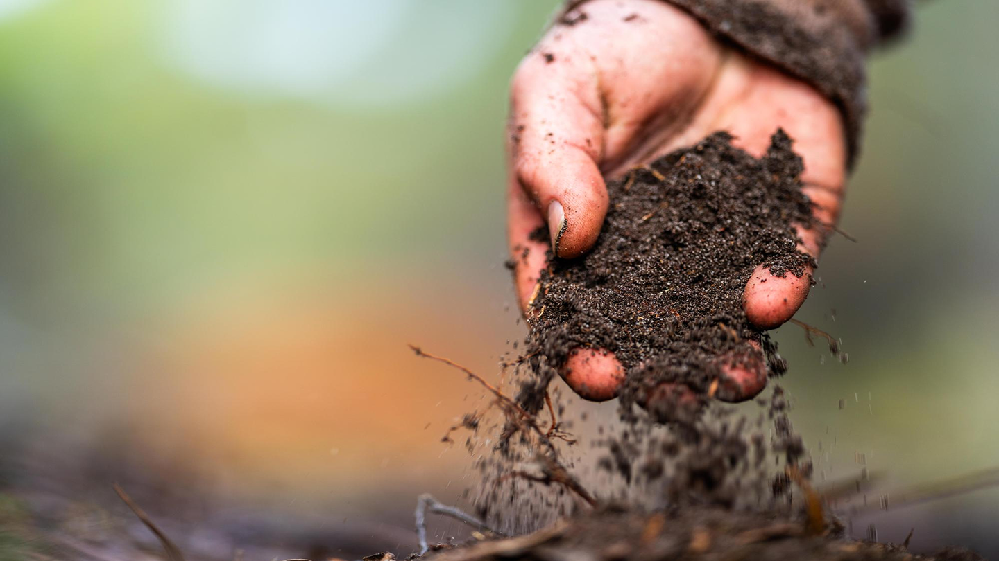 Mano de agricultor sujetando tierra fértil en primer plano sobre fondo de cultivo verde